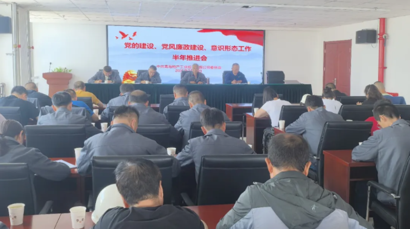 工投公司黨委召開黨的建設(shè)、黨風(fēng)廉政建設(shè)、意識(shí)形態(tài)工作半年推進(jìn)會(huì)